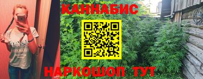 Альфа ПВП Владимир